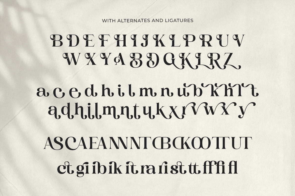 Reality Breathe - Modern Serif, a Serif Font by Shakira Studio (Photo 10 of 10)
