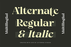 Angfia Relaftio Modern Serif Font