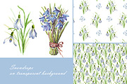 Spring flowers bundle PNG + patterns, an Illustration by Alena Kurian (Thumbnail 8 of 10)