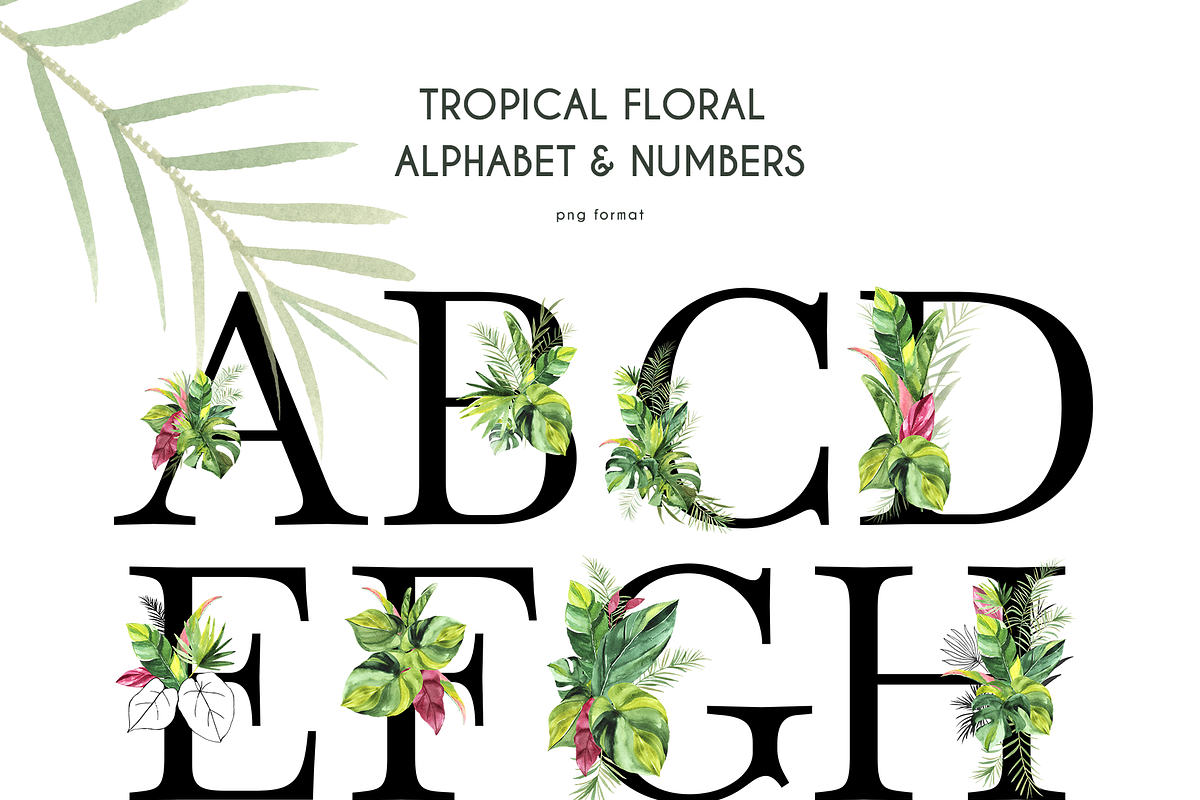 Tropical Foliage Watercolor set, a Decorative Illustration by Liliia Polos Illustration (Photo 12 of 14)