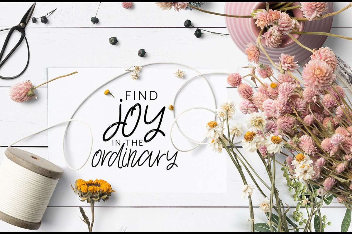 Joy Flight Script Font preview 3