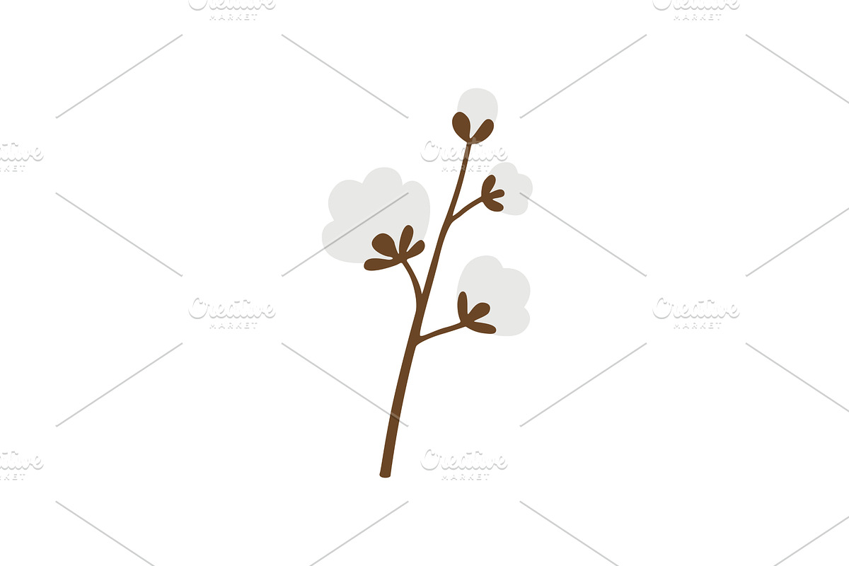 Cotton. A white cotton box. Cotton, an Object Illustration by Nadzin