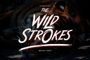 Wild Strokes, a Font by R4DS (Thumbnail 1 of 12)