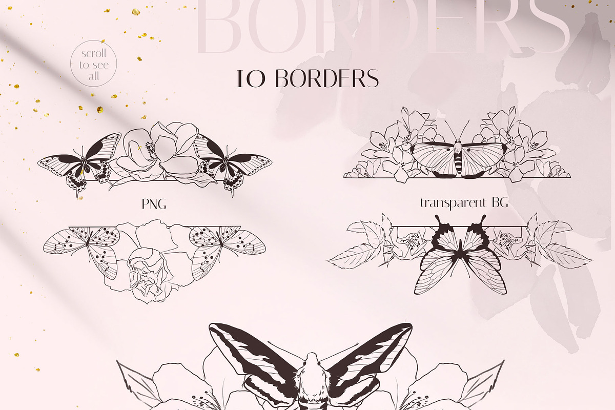 MOTHS & BUTTERFLIES illustration set, an Animal Illustration by Yuliia Lashevska (Photo 8 of 13)
