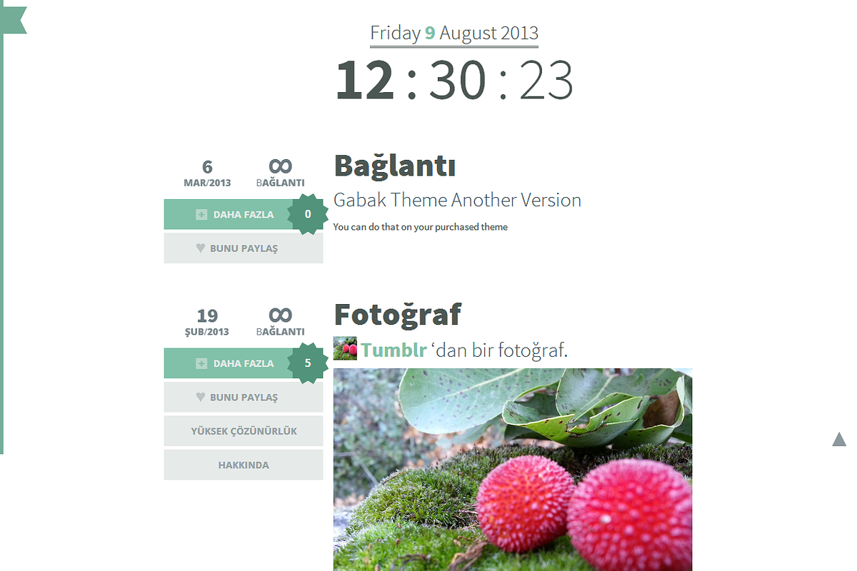 Gabak - Responsive Tumblr Theme, a Websites & App Template by mselmany (Photo 2 of 5)