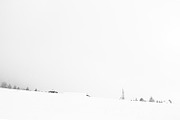 Black and White Lightroom Presets, an Action Add-On by I & M Lightroom Presets (Thumbnail 6 of 6)