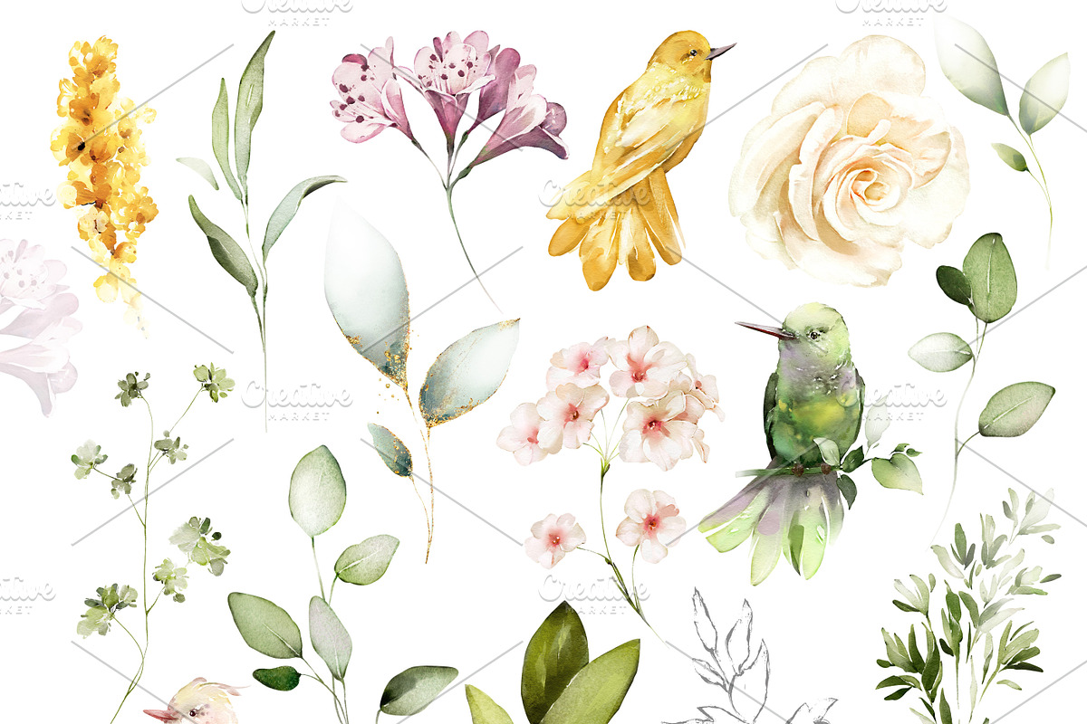 White roses & wildflowers floral set, a Decorative Illustration by Lisima (Photo 11 of 13)