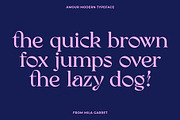 Amour Modern Display Logo Serif, a Sans Serif Font by Mila Garret (Thumbnail 25 of 27)