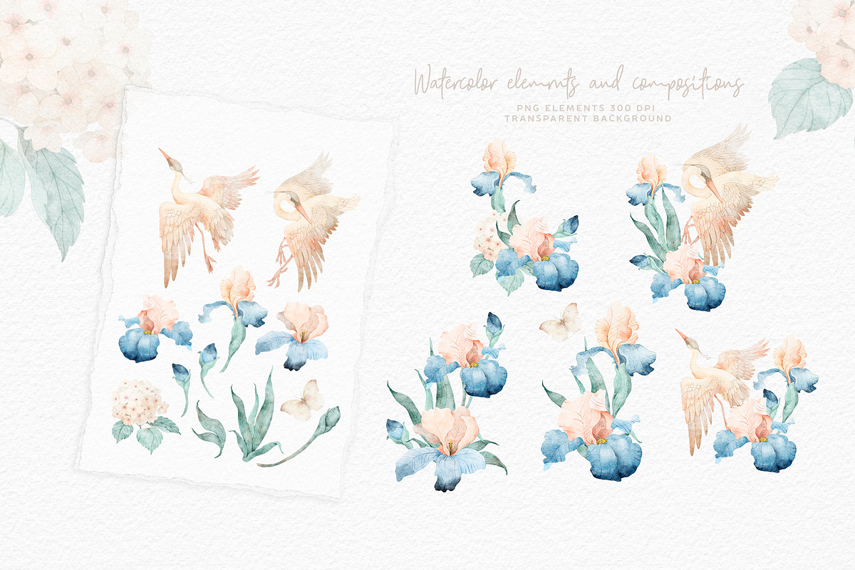 Watercolor Irises Flowers and Herons, an Illustration by Alamella (Photo 6 of 15)