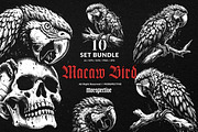 10 Bundle Dark Art Macaw Bird Parrot, an Illustration by Morspective (Thumbnail 1 of 7)