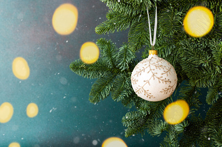 Christmas ball hanging on a fir bran, a Holiday Photo by Pandateam