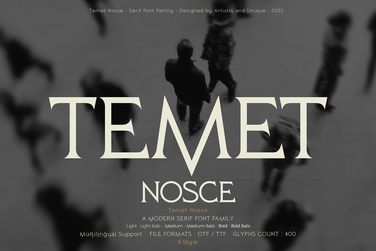 Temet Nosce - Serif font family, a Serif Font by Artistic & Unique (Photo 1 of 15)