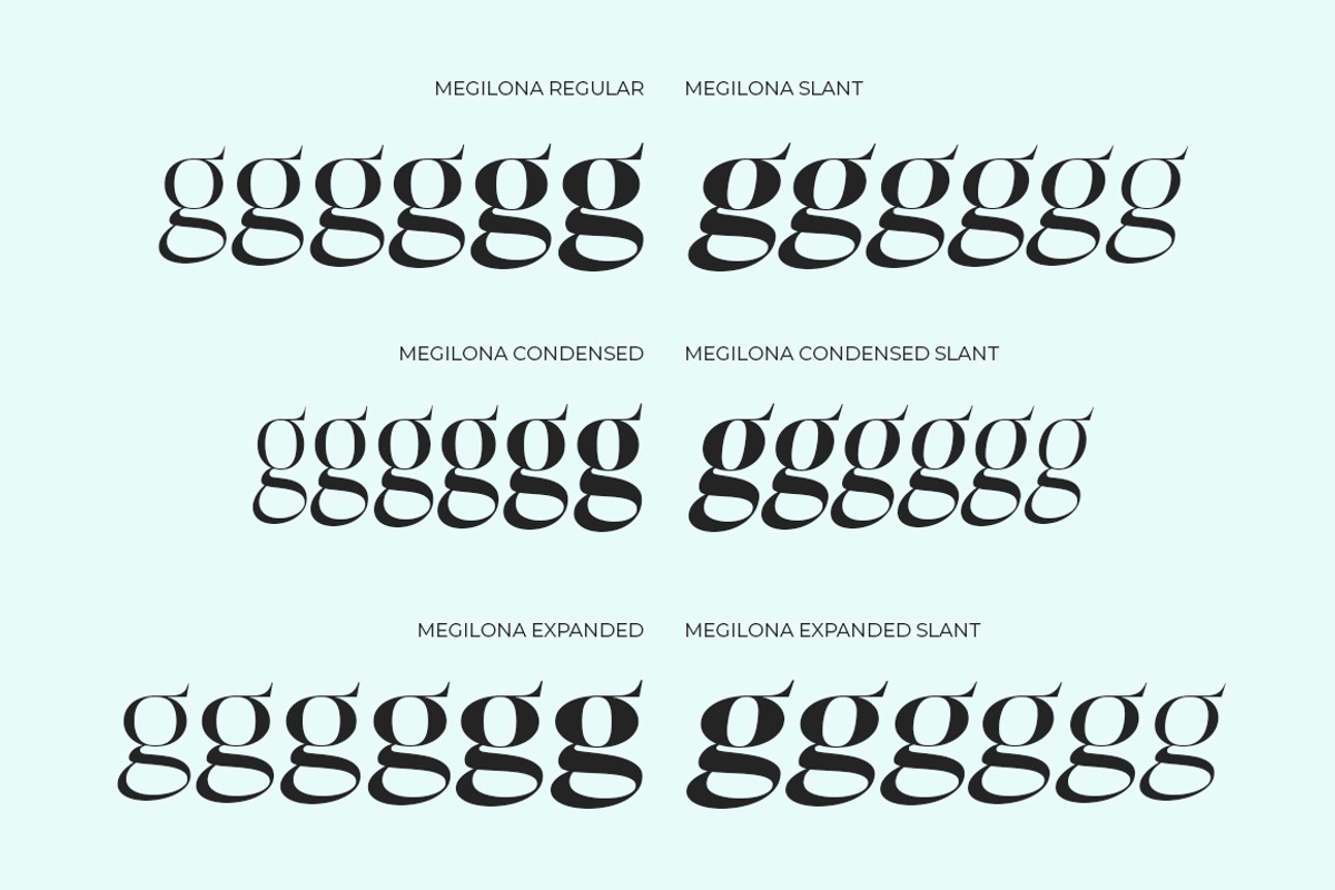 Megilona, a Serif Font by Black Studio (Photo 8 of 17)