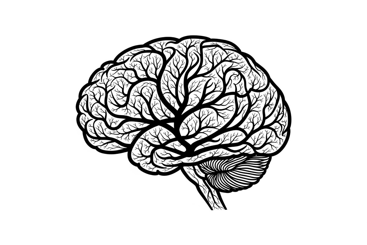 Brain Tree Knowledge Design Bundle, an Illustration by Gaye Art (Photo 19 of 31)