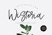 Wisteria Script, a Script Font by Calamar Studio (Thumbnail 1 of 13)