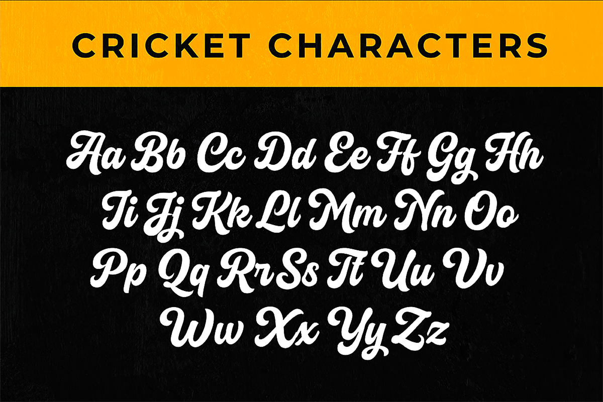 Cricket Script, a Script Font by hastatypestd (Photo 8 of 8)