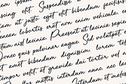 Palloma a Signature Font, a Handwritten Font by Basnistudio (Thumbnail 7 of 17)
