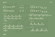 Vintage Glader, a Script Font by Ditatype (Thumbnail 8 of 10)