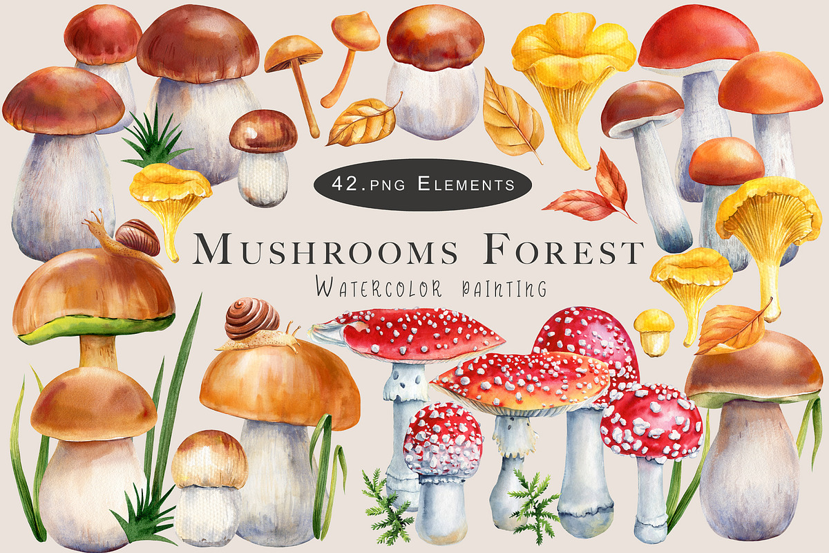 Mushrooms Forest watercolor painting, an Object Illustration by Hanna Hryharenka (Photo 1 of 11)