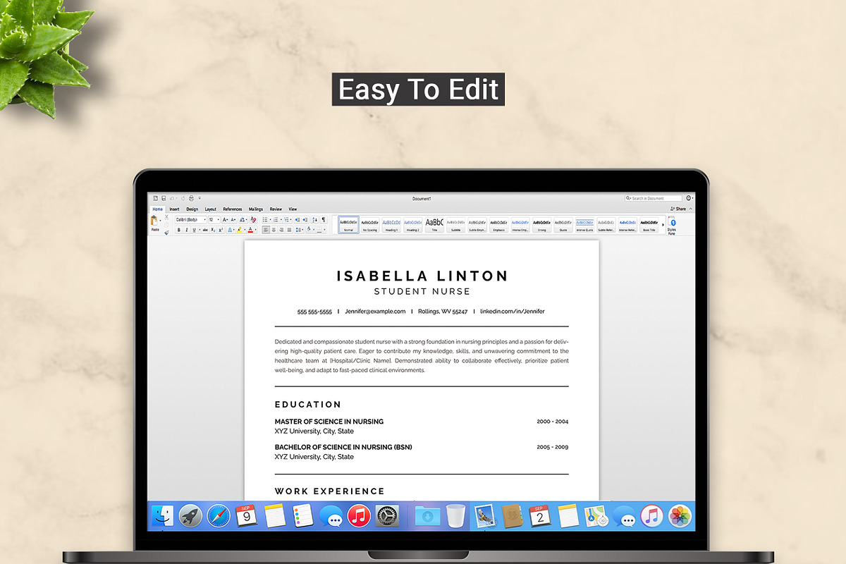 Student Nurse Resume Template preview 5