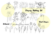 Flowers Sketches Set, a Decorative Illustration by Nataliapiache (Thumbnail 2 of 7)