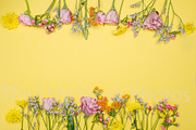 Lemon #4 Flowers Frame, a Business Photo by The LUV Stock Photos (Thumbnail 1 of 2)
