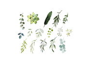 Eucalyptus foliage clipart, a Decorative Illustration by AnnelyBlooms (Thumbnail 4 of 6)