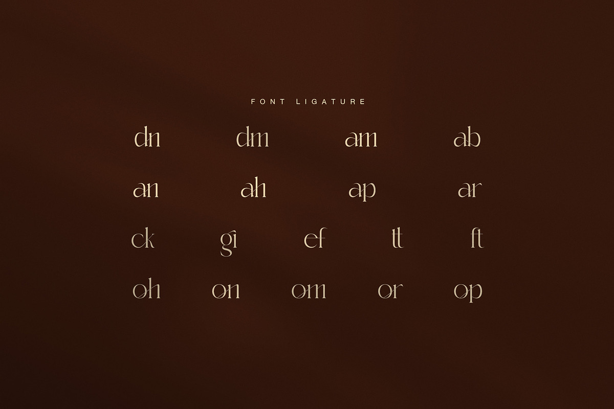 Ramick Elegant Ligature Serif Font, a Serif Font by Graphicxell (Photo 8 of 8)
