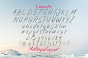 Antique - Bold Script Font, a Script Font by StringLabs (Thumbnail 10 of 11)