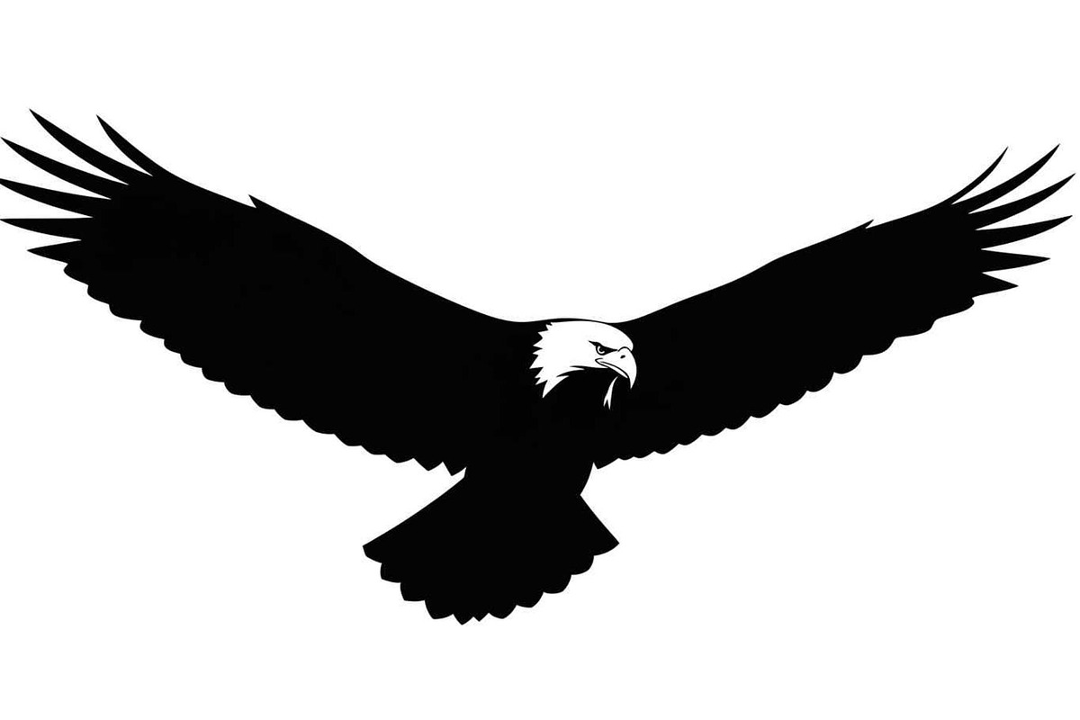 50 Flying Eagle Silhouette Vector Bu, an Illustration by Designs_River (Photo 25 of 51)