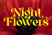 Cehua – Elegant Display Font, a Serif Font by AuthenType (Thumbnail 3 of 10)