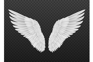 Realistic Isolated Angel Wings