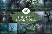 40 Eerie Forest Stock Photos, a Nature Photo by Incomelion (Thumbnail 1 of 13)