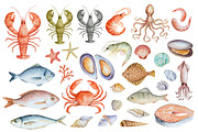 Watercolor seafood collection., a Food Illustration by Elena Medvedeva (Thumbnail 2 of 5)