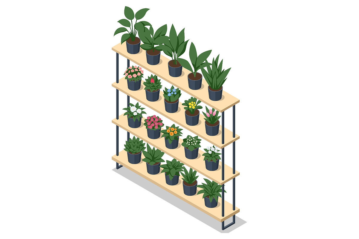 Isometric potted plant display shelf, a Person Illustration by Golden Sikorka (Photo 2 of 3)