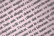 Grindale - Modern Classic Serif Font, a Serif Font by Pixesia Studio (Thumbnail 15 of 15)