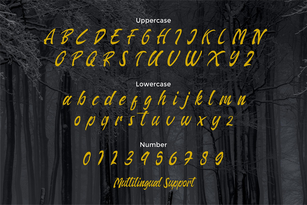 Arthas, a Script Font by edukka (Photo 7 of 8)
