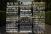 Old Money Aesthetic Font Bundle, a Serif Font by HipFonts (Thumbnail 2 of 10)