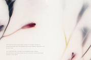 Foggy Flower Collection, a Background Graphic by nkate (Thumbnail 11 of 11)
