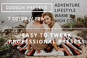 Dodson Presets (Pack #1), an Action Add-On by ColorGridPresets (Thumbnail 1 of 6)