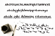 BREED, a Font by greatypes studio (Thumbnail 8 of 9)