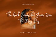 Pandertoos - Handbrush Signature, a Script Font by tebaltipislab (Thumbnail 10 of 11)