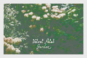 Folk Club // 17 Font Set (Pixel), a Script Font by PeachCreme (Thumbnail 11 of 18)