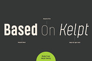 Kelpt Sans, a Sans Serif Font by Typesketchbook Foundry (Thumbnail 3 of 7)