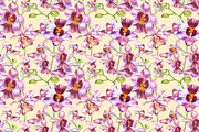 Orchids branch in botanical style, a Decorative Illustration by Ann Astro (Thumbnail 14 of 15)
