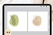 36 Leaf Procreate Stamp Brush, a Brush Add-On by Natalya_Mona_Art (Thumbnail 3 of 9)