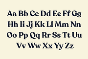 Recoleta - Family 30% off, a Serif Font by Latinotype (Thumbnail 5 of 16)