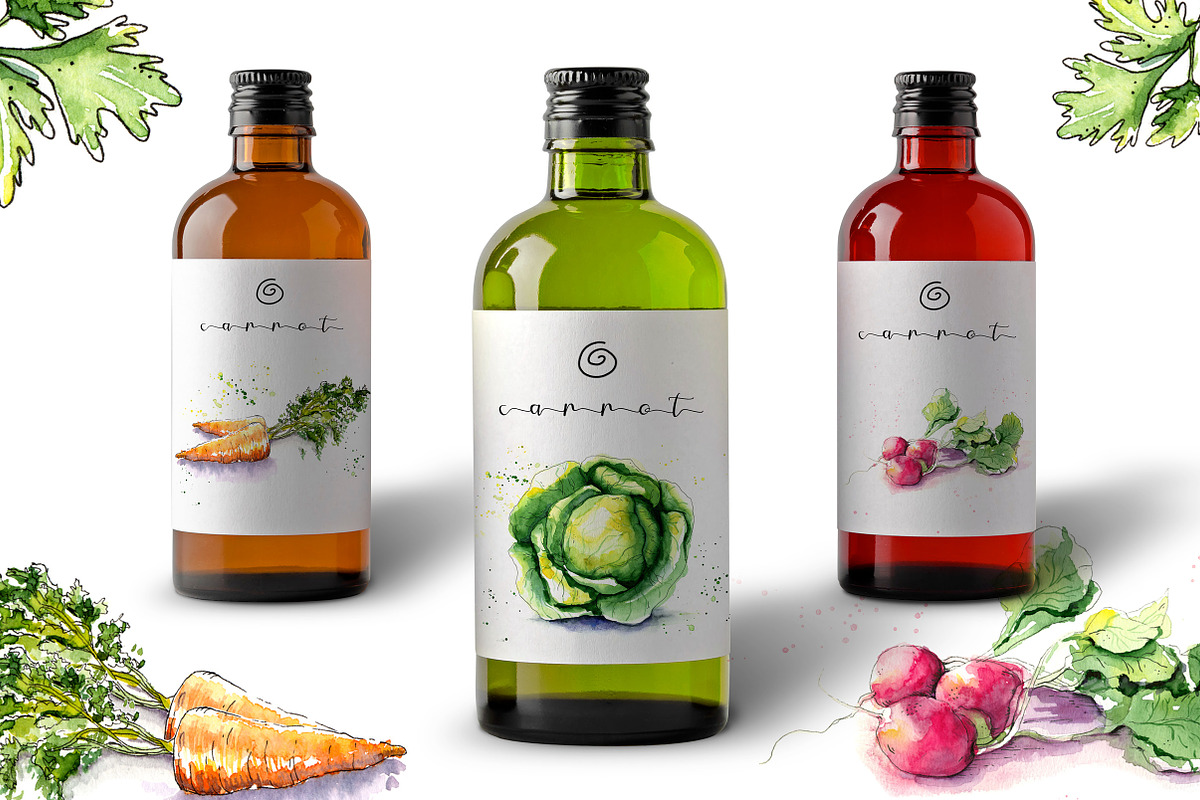 Watercolor vegetables, a Food Illustration by iri-illustration (Photo 5 of 12)