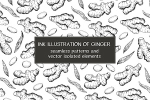 Ink illustration of ginger roots