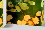Book Mockup Softcover, a Print Template by ArtefShop (Thumbnail 6 of 6)